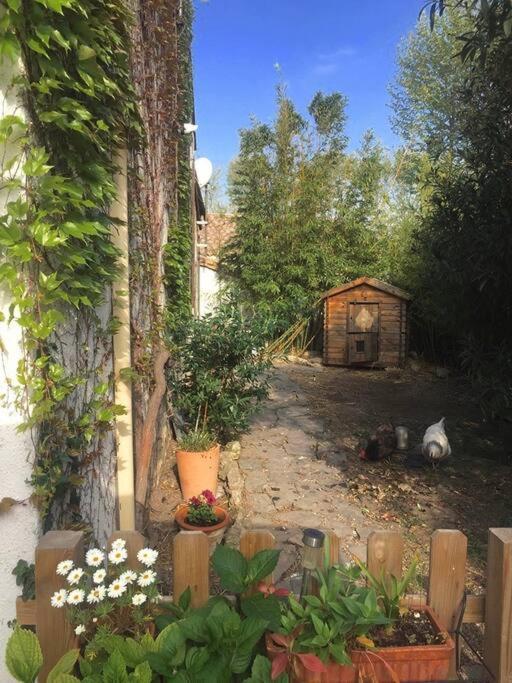 La Campagne Dans La Ville Narbona Exterior foto